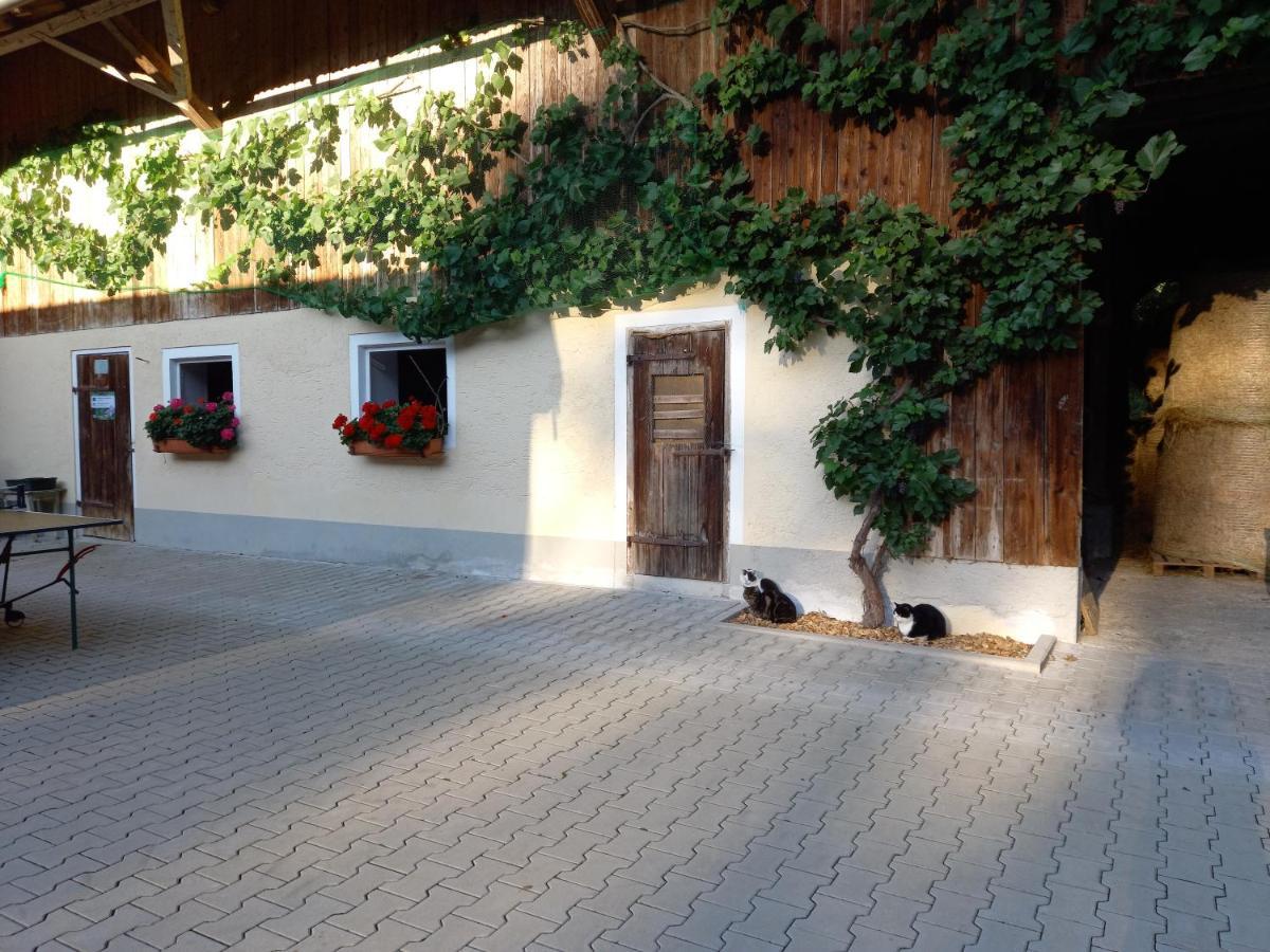 Landhof Ella - Ferienhaus Vor Den Toren Salzburgs Petting Buitenkant foto