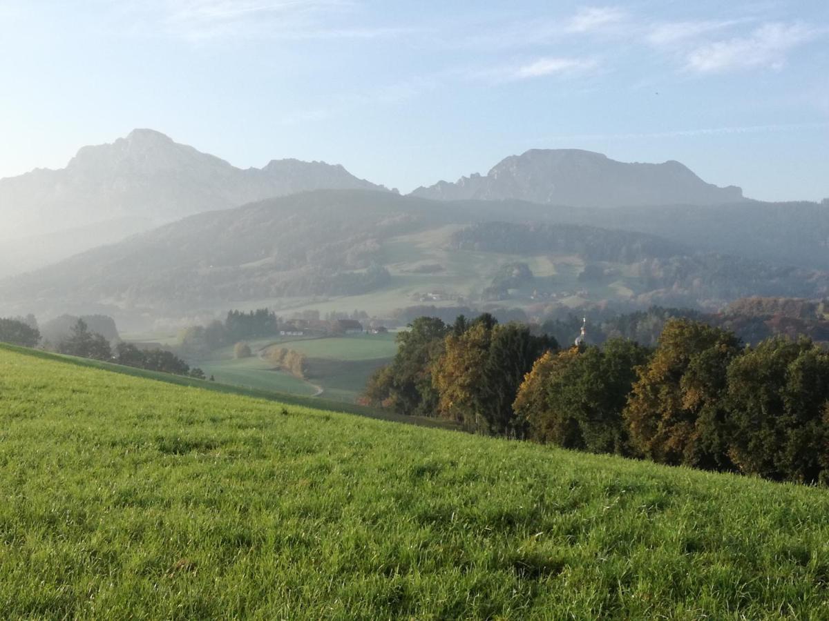 Landhof Ella - Ferienhaus Vor Den Toren Salzburgs Petting Buitenkant foto
